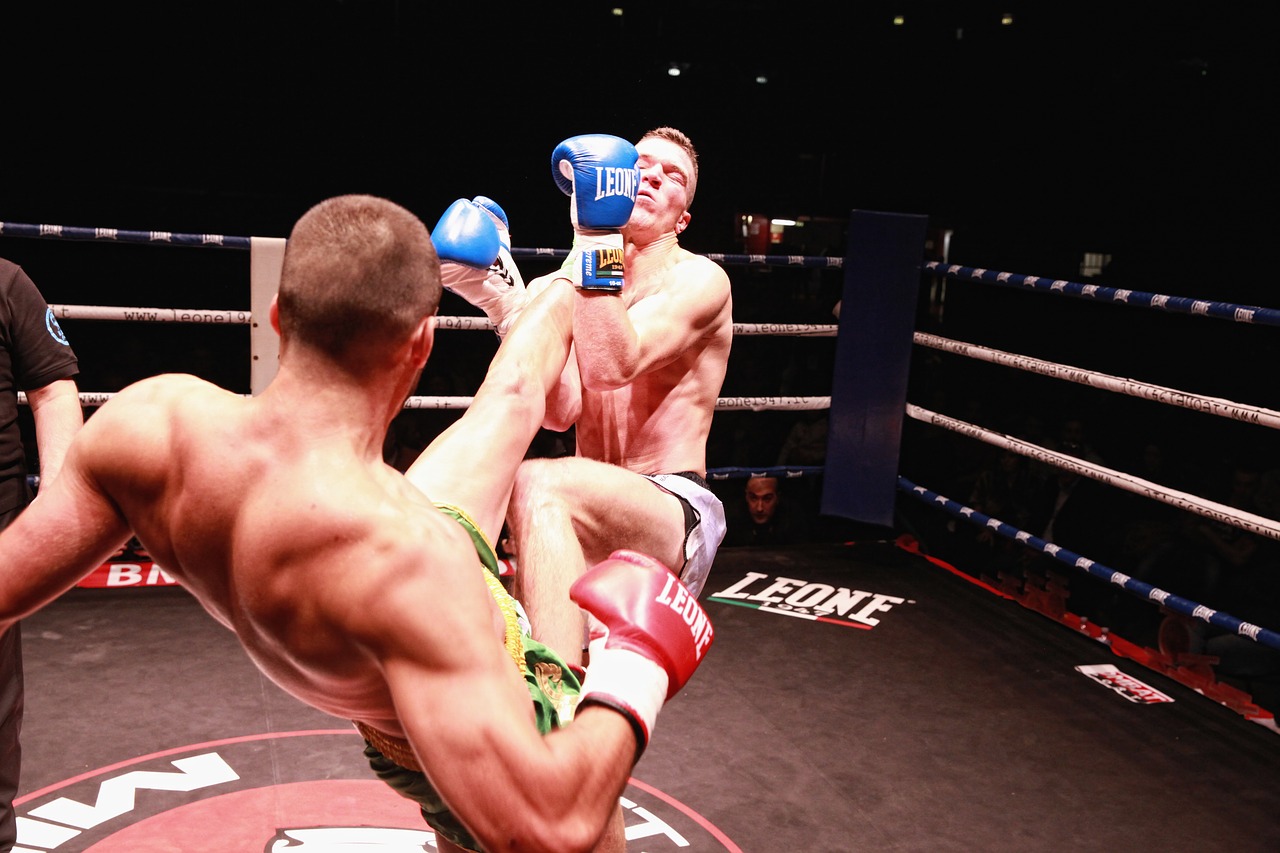 Combattants MMA