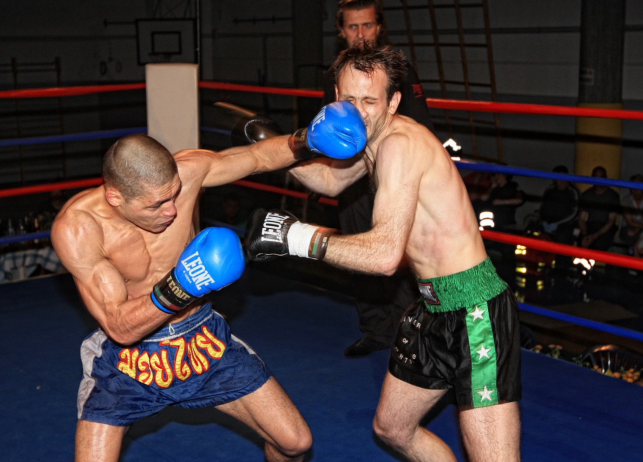 Histoire du MMA
