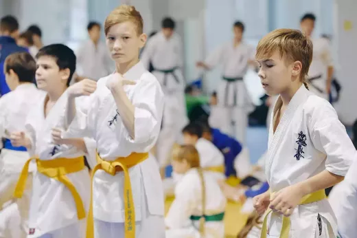 Libérer le pouvoir des Karate Kids : des événements passionnants au Daily Toreador avec HODGES en janvier !